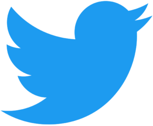 2021 Twitter logo blue